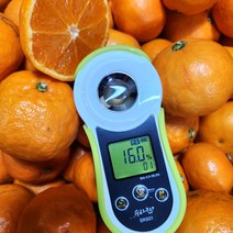 봄에 만나는 신품종 감귤 설국향 신비향 수라향 1kg 2kg 3kg, 2kg 혼합과, 1개