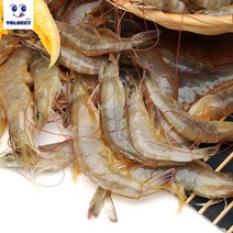 욜로켓 만능소스 게장용 간장 양념소스 2.5kg, [Y34] 신안 생새우 급냉 900g