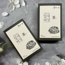머쉬온 국산 잎새버섯차 2g 20티백 2박스 베타글루칸 마이다케버섯차