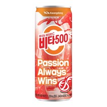 제트스카이 광동제약 비타500, 24캔, [240ml], 240g