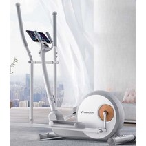 일립티컬머신 가정용 트위스트 걷기 운동 헬스, 표준 버전  8단  그레이