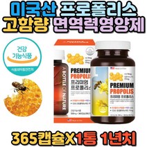 프리미엄 대용량 식약처 면역력 영양제 프로폴리스 플러스 플라보노이드 미국 직구 고함량 중년 여성 여자 남성 남자 에좋은 플로폴리스 항산화제 추천