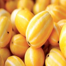 성주 참외 가정용 2.5kg 5kg 10kg (등급 - 상), 1box, [12]가정용 참외 10kg / 중과