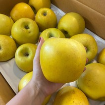 황금사과 오리지날 시나노골드 소 15과 3kg 경북 사과농장 직송
