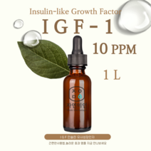 에코문 IGF 10PPM 1L /나노 이지에프 앰플 원액 에센스 리포좀 펩타이드 원료, 1개