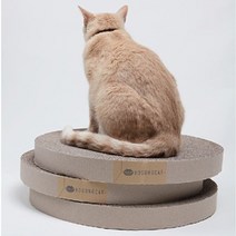 [코고는고양이] 캣모나이트 스크래쳐 리필 3p, 필수선택:캣모나이트 스크래쳐 리필 3p