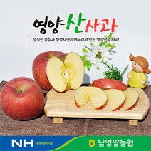 산지직송 경북 영양농협 사과 꿀부사 10kg 34-38과 미세기스, 1개