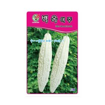 백옥여주 씨앗 채소 여주종자(10립) MK141