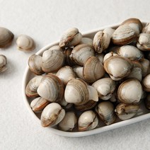 서해안 고창 자연산 해감 동죽조개 물총조개 10kg, 단품