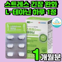 [코오롱제약] 스트레스 케어엔 테아닌 6박스(6개월분), 단품, 단품