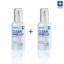 클린파일겔 휴대용 손소독제 100ml X 2개 손세정제, 1개