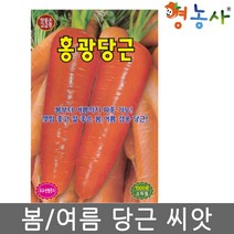 홍광 당근 씨앗 1500립 봄 여름 당근씨 종자, 홍광당근씨앗, 홍광당근씨앗