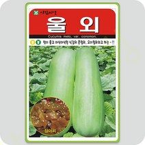 울외 씨앗 50립 오이참외 동경대백과 나나스케 절임용 피클용 참외씨앗 아람