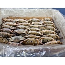 산호수산 냉동 라운드 삼점게 암게(100/150g) 3kg / 6kg [1시주문건 익일도착], 라운드 삼점게 암게 3kg, 1개