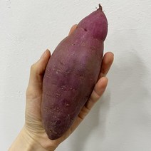 세척된 특상 고구마(잘생기고 이쁜 것들만 보냄), 500g, 1개