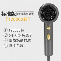 KICA JET FAN2 키카제트팬2 카이카제트팬2 에어건 제트팬 무선에어건 무선에어건 강풍 고출력, 로얄 그레이 - 스탠다드 에디션 - 120,000RPM