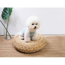 푸들 비숑 소라색 민소매 티셔츠 강아지 옷 애견내복 코카스파니엘옷 강아지옷 말티즈 프렌치불독 홈웨어, XL