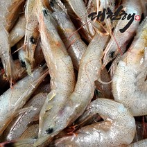 대천해 자연산 중하(백새우)300g, 1개