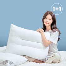 플랫화이트 호텔납품 휴비스정품 알러지케어 향균 마이크로화이바 낮은 경추베개 1+1
