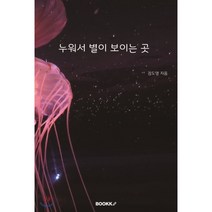 누워서 별이 보이는 곳, BOOKK(부크크), 김도영 저