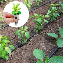 수경재배스펀지 96 조각 수경 재배 세트 흙이없는 성장 스폰지 심기 바구니 키트 시스템, 한개옵션0