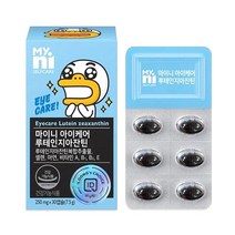 일동 마이니 아이케어 루테인 지아잔틴 복합 추출물 셀렌 아연 비타민A 비타민B 결명자 함유 눈건강 식약처인증 건강기능식품, 1개, 루테인지아잔틴 30캡슐