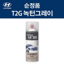 현대 순정품 T2G 녹턴그레이 스프레이 405 자동차 차량용 도색 카페인트, T2G 녹턴그레이 스프레이(모비스), 1개