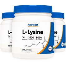 L-라이신 파우더 500g 3병, 단품