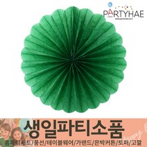 (주)파티해 생일파티 장식용품5 L-N - 토퍼 데코픽 케익초 번팅, L01_페이퍼휠-그린(35cm)