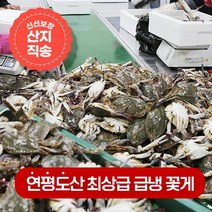 연평도 100% 활꽃게를 급냉한 냉동꽃게 1kg(4~6미), 숫꽃게 2kg(8~12미)
