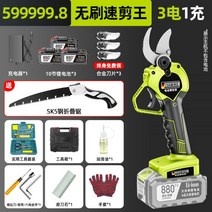 보쉬 전지가위 무선을 수입 충전식 충전전지가위 전동가위 무선 BOSCH BOSCH보쉬 전동전지가위, 德国无刷599999.8速剪王9999999800mAh三电