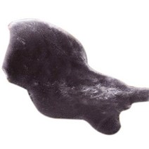 먼지없는 이케아 러그 대형 방수 러그 이케아 모던하우스 러그 부드러운 인조 양모 매트 카펫 패드 미끄럼 방지 의자 소파 커버 침실 홈 장식 침실