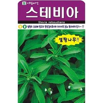 아람종묘 스테비아 씨앗 50립, 1개