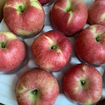 당도선별 부사 사과 못난이 가정용 청송 안동 산지직송, 못난이 10kg 꼬마과(48~51과), 1개