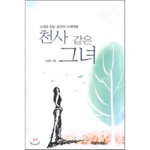 천사 같은 그녀:소설로 읽는 궁극의 사색여행, 비엘프레스, 김병훈 저