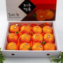 익산원예농협 레드향 3kg (특10내), 익산원예농협 레드향 3kg (특10