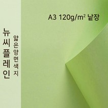 뉴씨플레인 종이문화 얇은 양면색지 120g A3 낱장 1매 No.13 연연두색, 1장