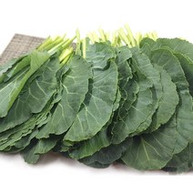[특급] 싱싱한 쌈 케일 500g 1kg, 쌈케일1kg, 1개