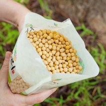 친환경 메주콩 백태콩 대두 국산 유기농 청국장콩, 메주콩(유기농) 1kg