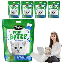 킷캣 브레쓰바이트 고양이 덴탈 치석제거 이빨과자 마약간식, 5팩, 씨푸드맛 60g