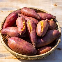 23년 햇고구마 해남 꿀 밤 고구마 베니하루카, 한입사이즈, 3kg (비세척), 1개