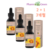 팜그린 프리미엄 프로폴리스 리퀴드 액상 오일 타입 구강 향균작용 도움 1일 2회 5방울씩 캐나다 직수입 비프로폴리스 플라보노이드 입안을 상쾌하게 관리하세요~, 3개, 30ml (1개월분)