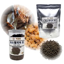 인도산 보스웰리아 염증 치료제 추출분말 먹기편한 기운팜 보스웰리아환, 300g, 1개
