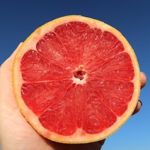 이스라엘 루비레드자몽 35과사이즈 (특대과 400g내외), 35입, 특대과 400g내외