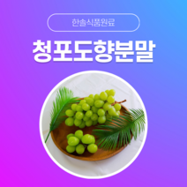 [한솔식품원료] 청포도향분말 (Muscat flavor powder) (분말 Type) [50g/100g/1kg/5kg/10kg], 100g