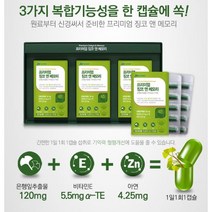 프리미엄 징코 앤 메모리 두뇌 인지력 기억력 영양제 손발저림 혈행개선 수험생 청소년 갱년기 60대 70대 기억력 집중력 은행잎추출물 혈액순환, 90캡슐(3개월) x 3개