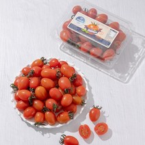 스테비아방울토마토500g 인기 제품 할인 특가 리스트