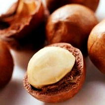 허브야 닷컴 마카다미아넛 오일 100ml, 500ml