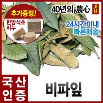 자애인 국산 비파잎 1200g 비파엽 비파잎차 전남여수, 단품