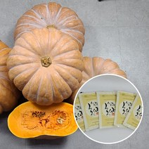 100%국내산 리얼 순수진한 호박즙 100ml 30포, 배 도라지즙 100ml30포
